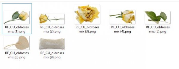 OLD ROSES MIX - Click Image to Close