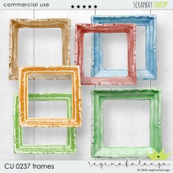 CU 0237 FRAMES